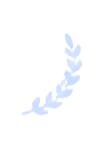 Previous